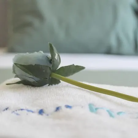 Classy Urban Life Porto