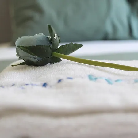 Classy Urban Life アパート ポルト