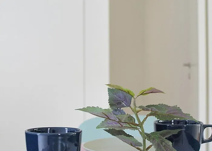 Classy Urban Life Porto